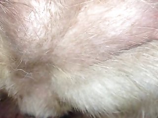 Art Of Zoo Porn Raven