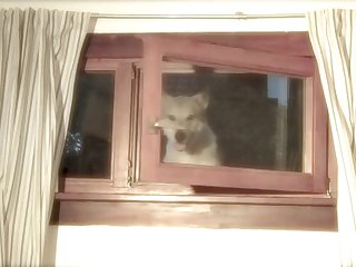 Girl Farts On Dog Porn