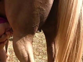 Mimi Dog Porn Animation