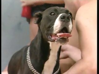 French Kiss Girl Dog Porn