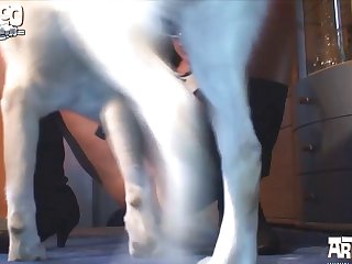 Phim Sex Động Vật