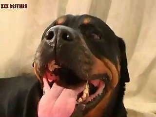 Xxx Cavalo