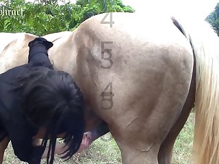 डॉगी सेक्स