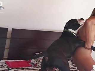 Dog Girl Sex
