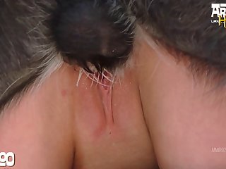 Cat Porno