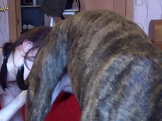 Mulheres Transando Com Cachorro