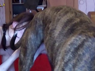 Mulheres Transando Com Cachorro